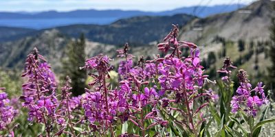 The Savvy Ski Home Buyer Starts Looking in August