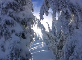 Olympic Valley Real Estate: The Market Shifts Toward Winter