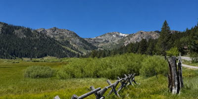 Buying in a Low-Inventory Market: Patience and Action