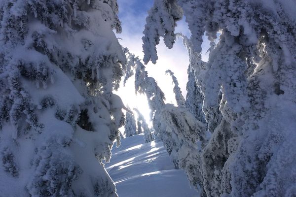 Olympic Valley Real Estate: The Market Shifts Toward Winter