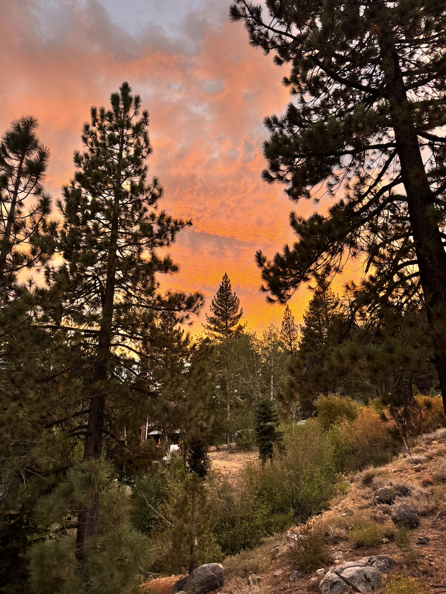 alpenglow